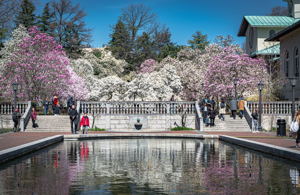 Stepping Out of Comfort at Brooklyn Botanic&nbsp;Garden