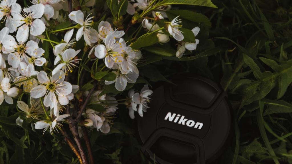 This or That: Photography Edition